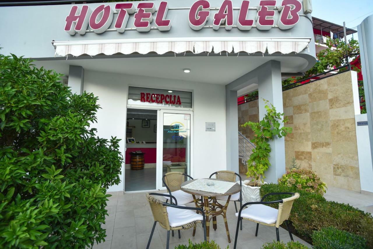 Hotel Galeb Čanj エクステリア 写真